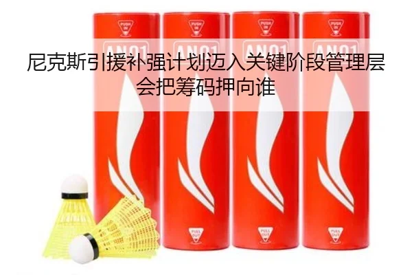 尼克斯引援补强计划迈入关键阶段管理层会把筹码押向谁